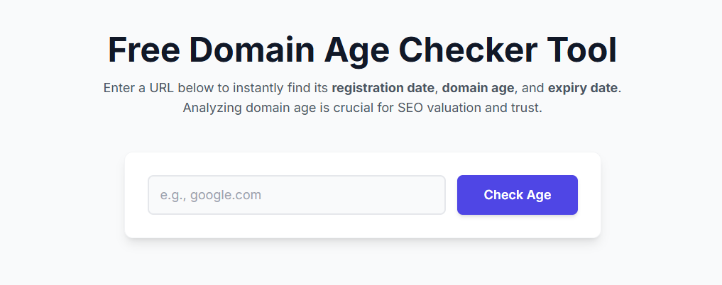 A sleek digital dashboard showing domain age analysis.