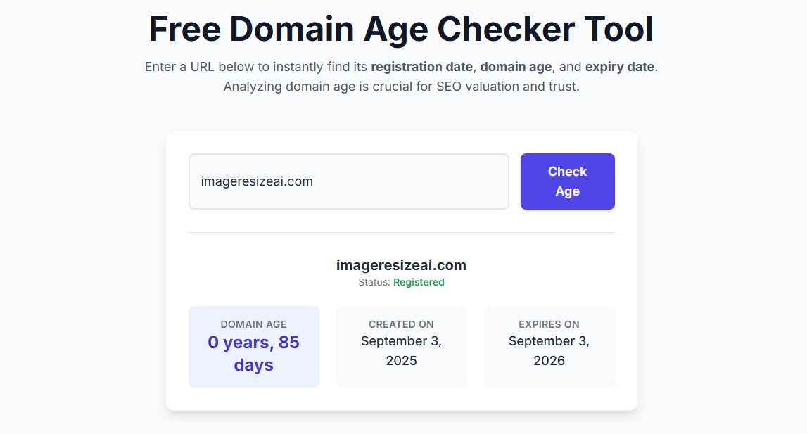 Screenshot of DomainAI Domain Age Checker showing registration results.